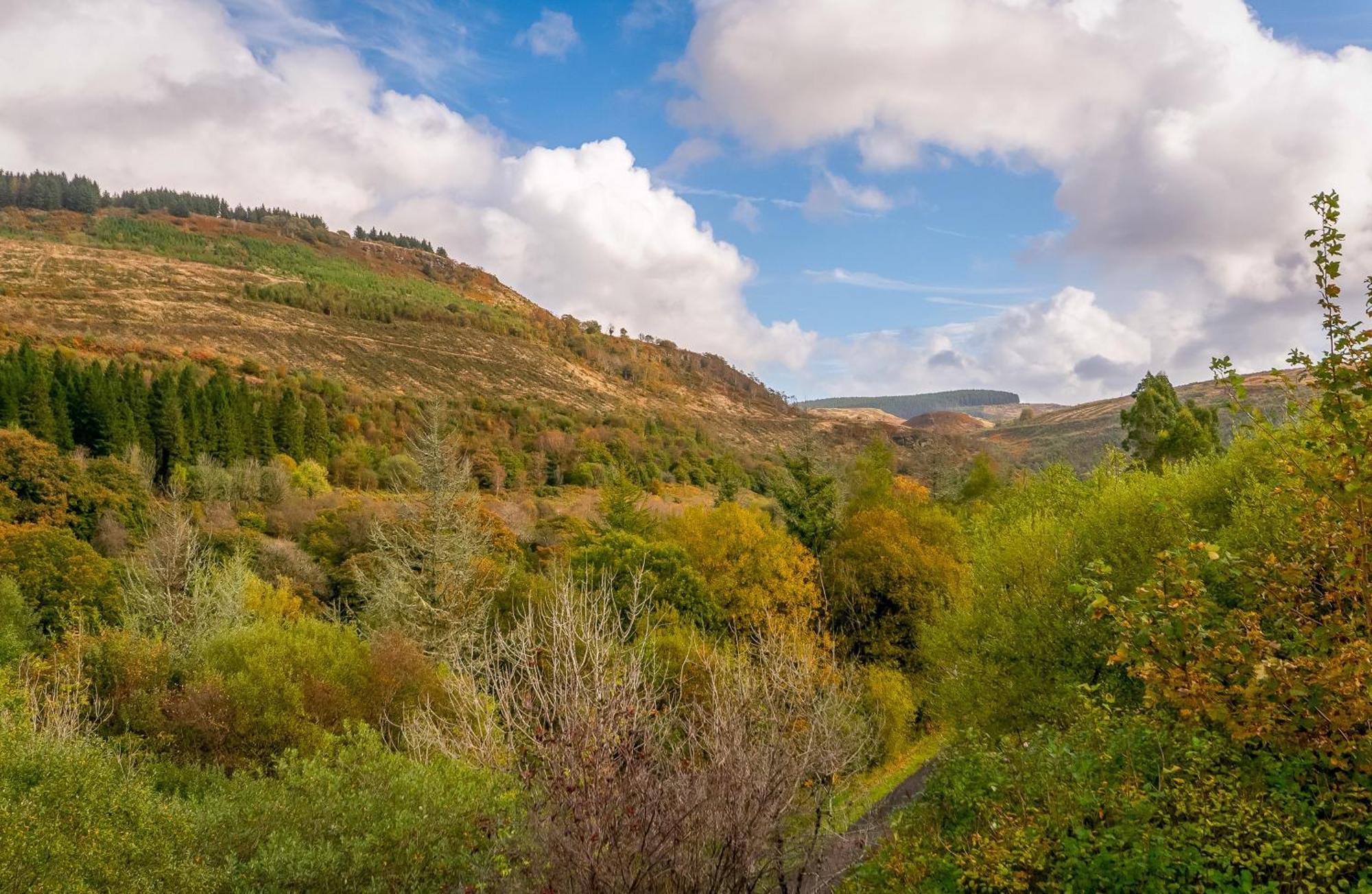 פורט טלבוט The Nest Superb Apartment In Afan Forest Bike Park By Staystaycations מראה חיצוני תמונה