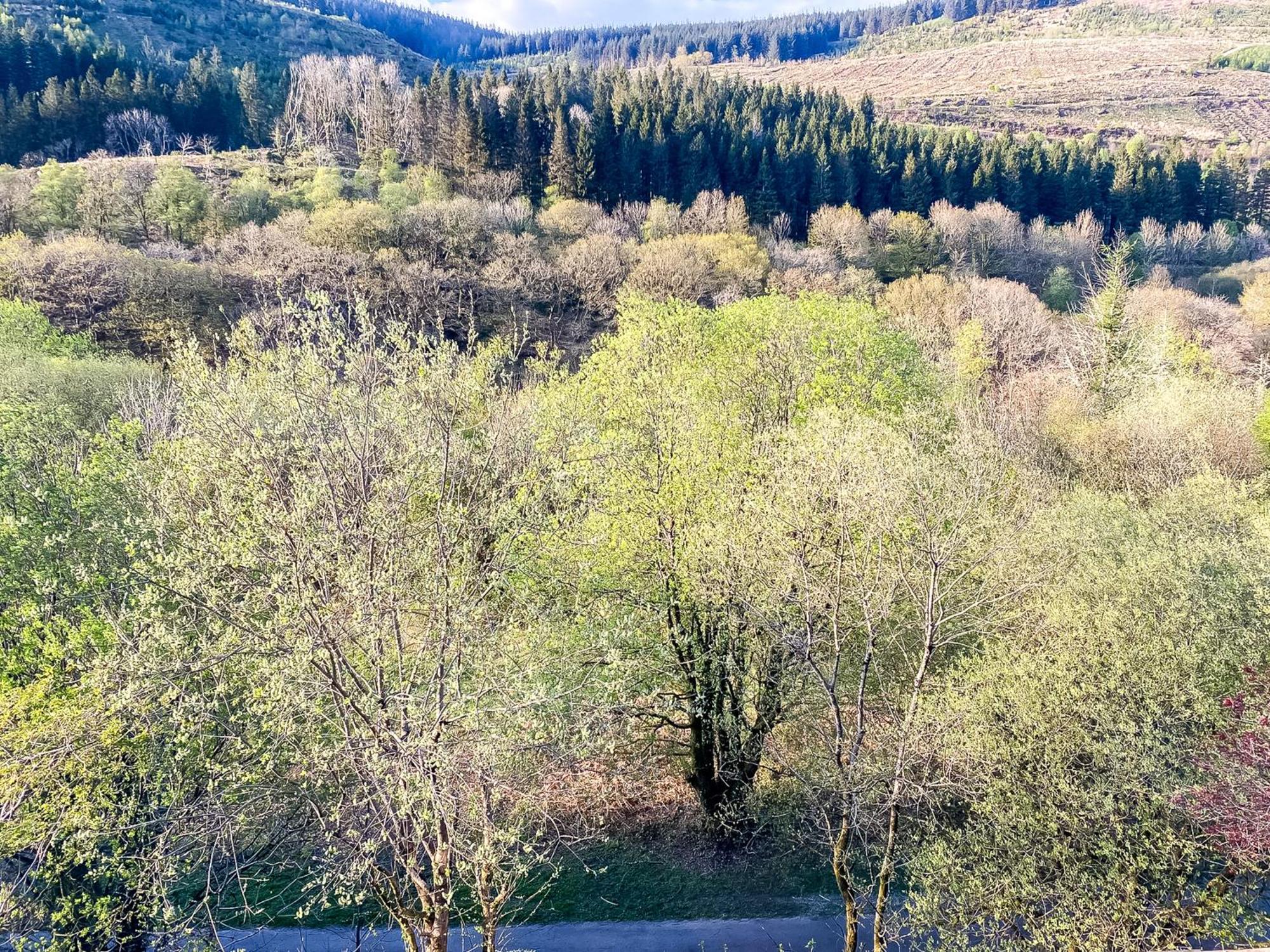 פורט טלבוט The Nest Superb Apartment In Afan Forest Bike Park By Staystaycations מראה חיצוני תמונה